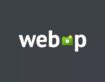 WebP Nedir ve Ne İçin Kullanılır?